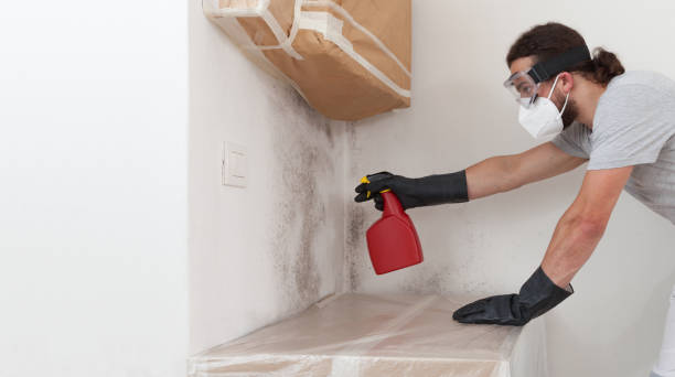 Professional Bathroom Mold Removal technician working in Newfoundland, NJ