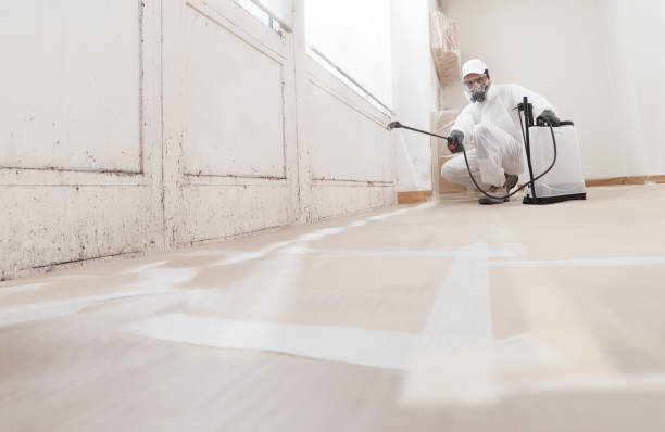24/7 Emergency Bathroom Mold Removal experts in Newfoundland, NJ