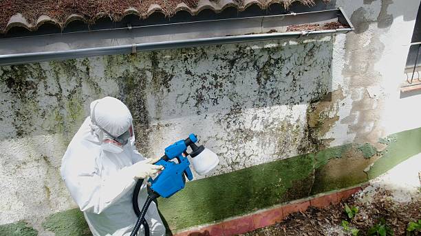 Top rated local Mold Remediation specialists in Newfoundland, NJ
